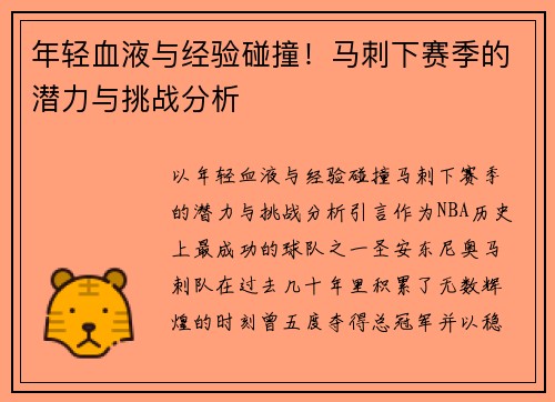 年轻血液与经验碰撞！马刺下赛季的潜力与挑战分析
